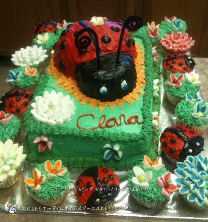 Coolest Ladybug and Flowers Cake
