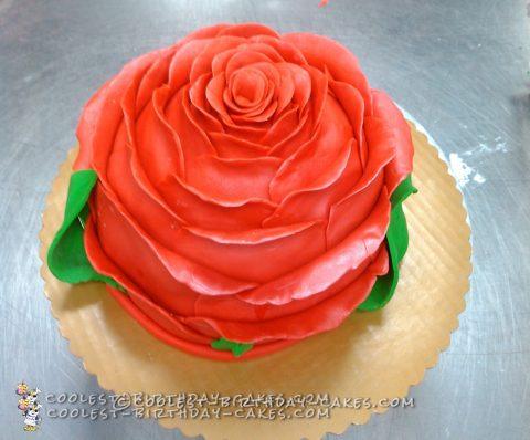 Beautiful Rose Cake - Coolest Garden Cakes