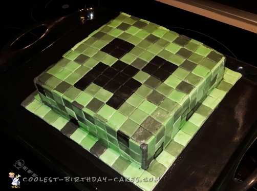 Cool Minecraft Creeper Diy Cake