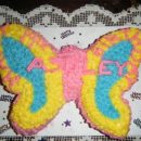 Butterfly Cake for Girls 19th Birthday