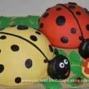 Homemade 1st Ladybug Birthday Cake for Twins