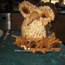 Homemade 24th Owl Birthday Cake