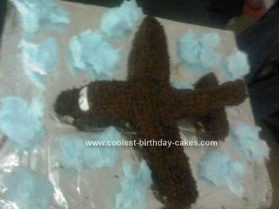 Homemade Airplane Flying In The Clouds  Cake