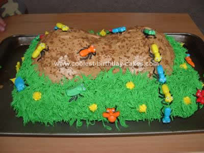 Homemade Anthill Cake Idea