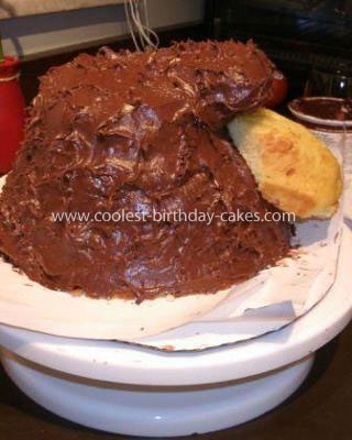 Coolest Baboon Birthday Cake