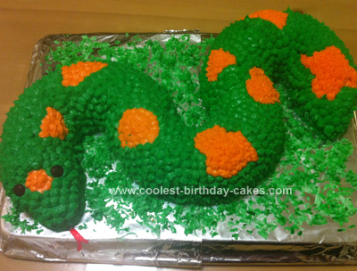 Homemade  Birthday Snake Cake