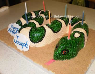 Homemade Birthday Snake Cake