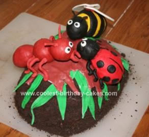 Homemade Bug Cake