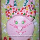 Homemade Bunny Birthday Cake