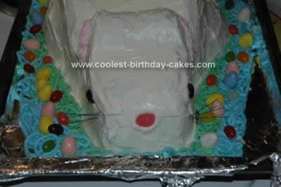 Homemade Bunny Cake Idea