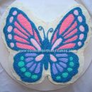 Homemade Beautiful Butterfly Birthday Cake