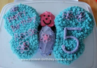 Homemade Butterfly Birthday Cake Idea