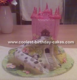 Castle Cake on a Hill