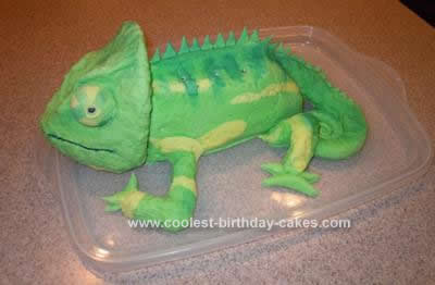 Homemade Chameleon Cake
