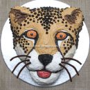 Homemade Cheetah Cake from Africa