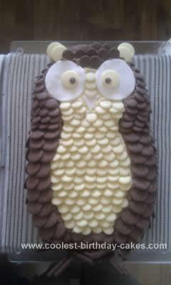 Homemade Chocolate Button Owl Cake
