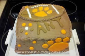 Homemade Clemson Birthday Cake