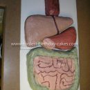Coolest Digestive System Cake