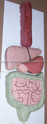 Coolest Digestive System Cake