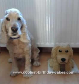 Homemade Dog Birthday Cake