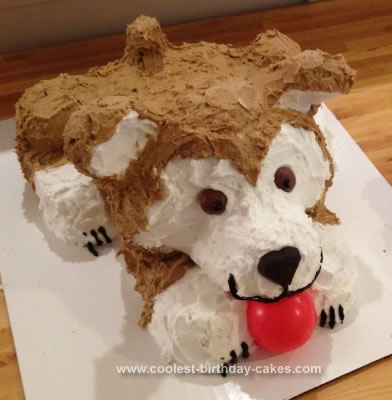 Homemade Doggie Cake