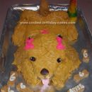 Homemade Doggy Birthday Cake