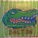 Homemade Florida Gator Birthday Cake