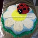 Homemade Flower And Lady Bug Cake