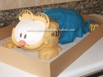 Homemade Garfield Birthday Cake