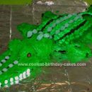 Homemade Gator Birthday Cake