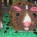 Homemade Guinea Pig Birthday Cake
