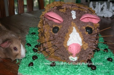 Homemade Guinea Pig Birthday Cake