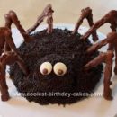 Homemade Halloween Spider Cake