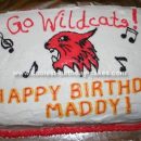 HSM Wildcats Cake