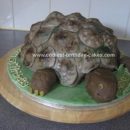 Homemade Tortoise Birthday Cake