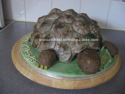 Homemade Tortoise Birthday Cake
