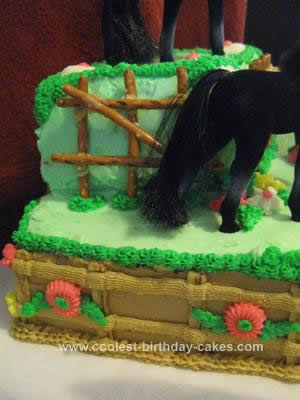 coolest-horse-and-pony-birthday-cake-91-21485855.jpg