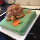Homemade  Hugo the Tortoise Cake