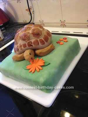 Homemade  Hugo the Tortoise Cake
