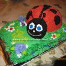 Homemade Lady Bug Cake