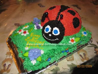 Homemade Lady Bug Cake