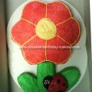Homemade Lady Bug Flower Cake