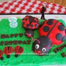 Homemade  Lady Bug Picnic Cake