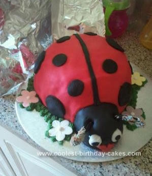 Homemade Ladybird Cake