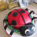 Homemade Ladybug 1st Birthday Cake