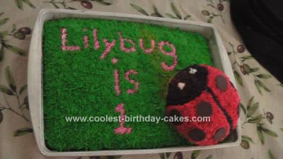 Homemade Ladybug 1st Birthday Cake