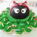 Homemade Ladybug 2nd Birthday Cake