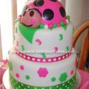 Homemade Ladybug 3rd Birthday Cake Idea