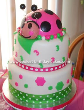 Homemade Ladybug 3rd Birthday Cake Idea