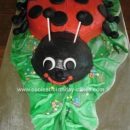 Homemade  Ladybug Birthday Cake